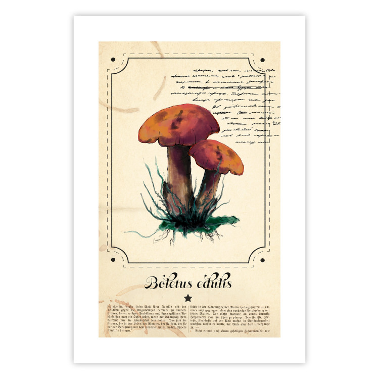 Poster Mushroom Atlas - brown mushrooms on beige background amidst black text 129546 additionalImage 19