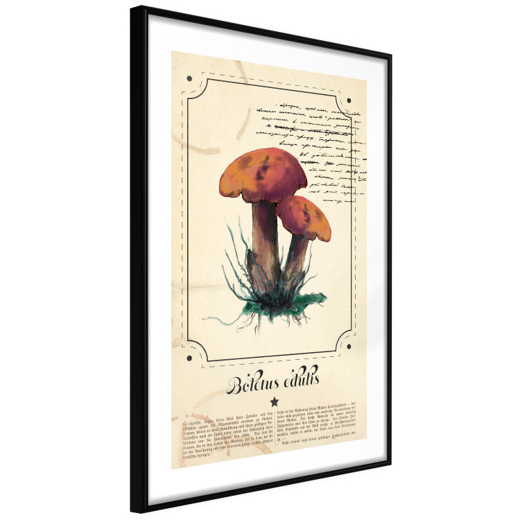 Poster Mushroom Atlas - brown mushrooms on beige background amidst black text 129546 additionalImage 6