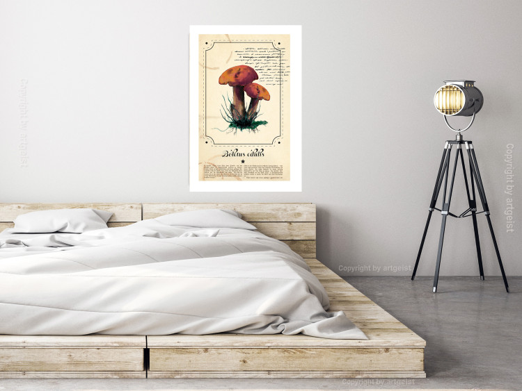 Poster Mushroom Atlas - brown mushrooms on beige background amidst black text 129546 additionalImage 3