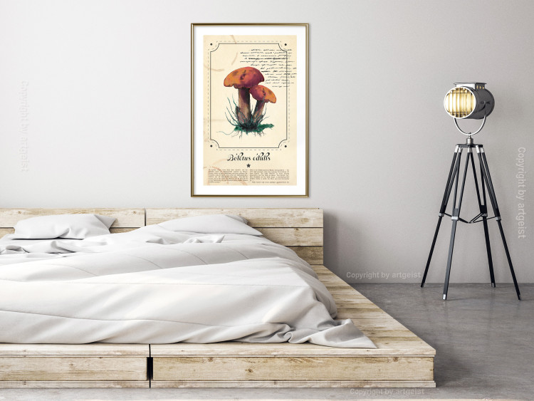 Poster Mushroom Atlas - brown mushrooms on beige background amidst black text 129546 additionalImage 13