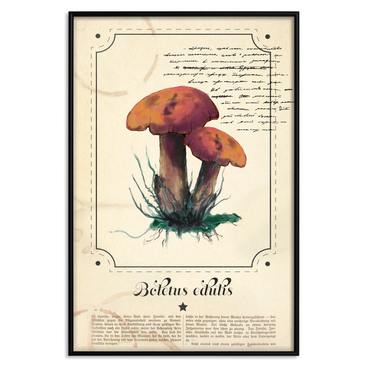 Poster Mushroom Atlas - brown mushrooms on beige background amidst black text 129546 additionalImage 16