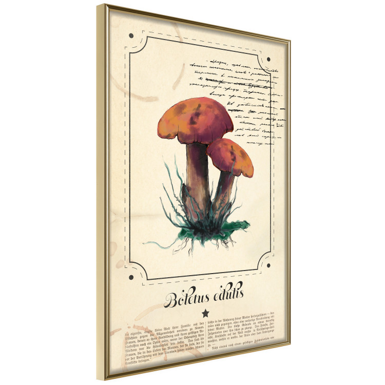 Poster Mushroom Atlas - brown mushrooms on beige background amidst black text 129546 additionalImage 12
