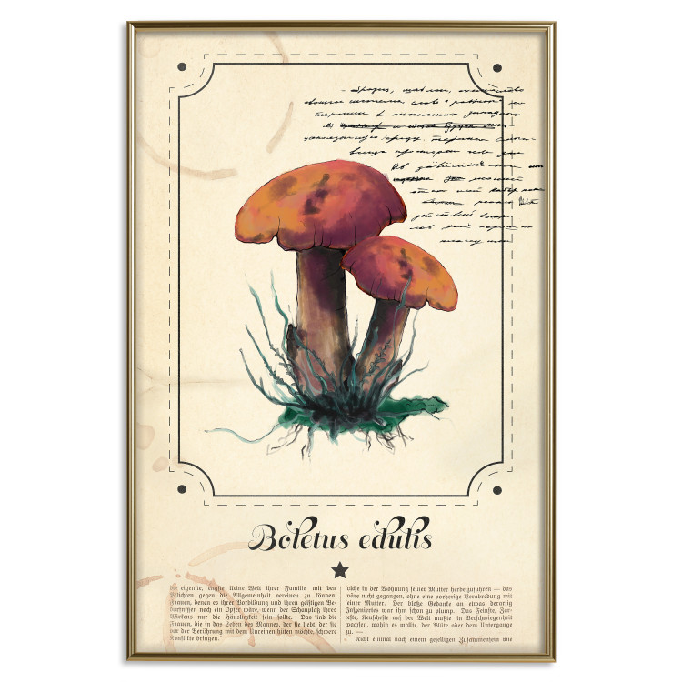 Poster Mushroom Atlas - brown mushrooms on beige background amidst black text 129546 additionalImage 17