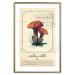 Poster Mushroom Atlas - brown mushrooms on beige background amidst black text 129546 additionalThumb 14