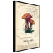 Poster Mushroom Atlas - brown mushrooms on beige background amidst black text 129546 additionalThumb 11