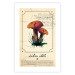 Poster Mushroom Atlas - brown mushrooms on beige background amidst black text 129546 additionalThumb 19