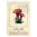 Poster Mushroom Atlas - brown mushrooms on beige background amidst black text 129546