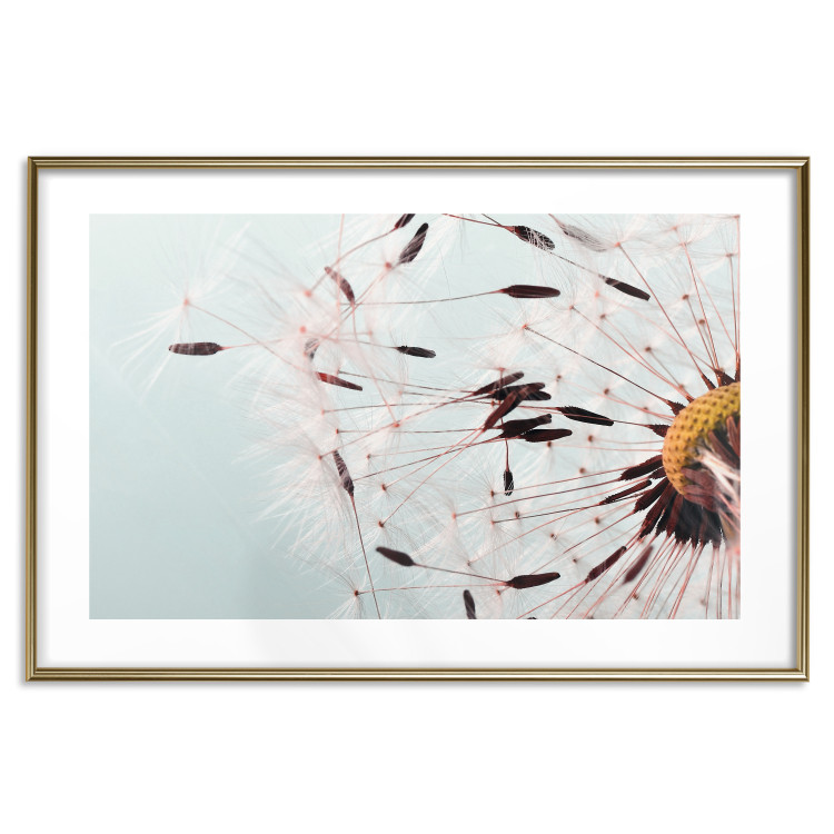 Poster Gust of Wind - dandelion flower against a contrasting clear sky 129846 additionalImage 16