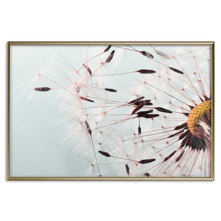 Poster Gust of Wind - dandelion flower against a contrasting clear sky 129846 additionalImage 19