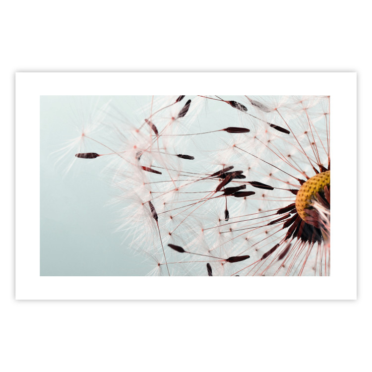 Poster Gust of Wind - dandelion flower against a contrasting clear sky 129846 additionalImage 17