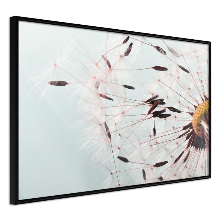Poster Gust of Wind - dandelion flower against a contrasting clear sky 129846 additionalImage 11