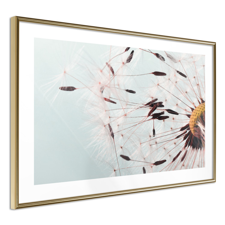 Poster Gust of Wind - dandelion flower against a contrasting clear sky 129846 additionalImage 7