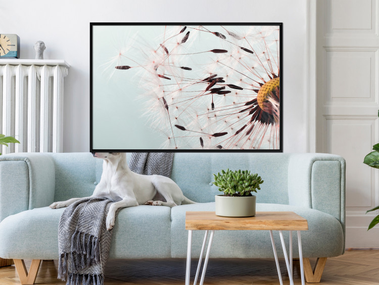 Poster Gust of Wind - dandelion flower against a contrasting clear sky 129846 additionalImage 4
