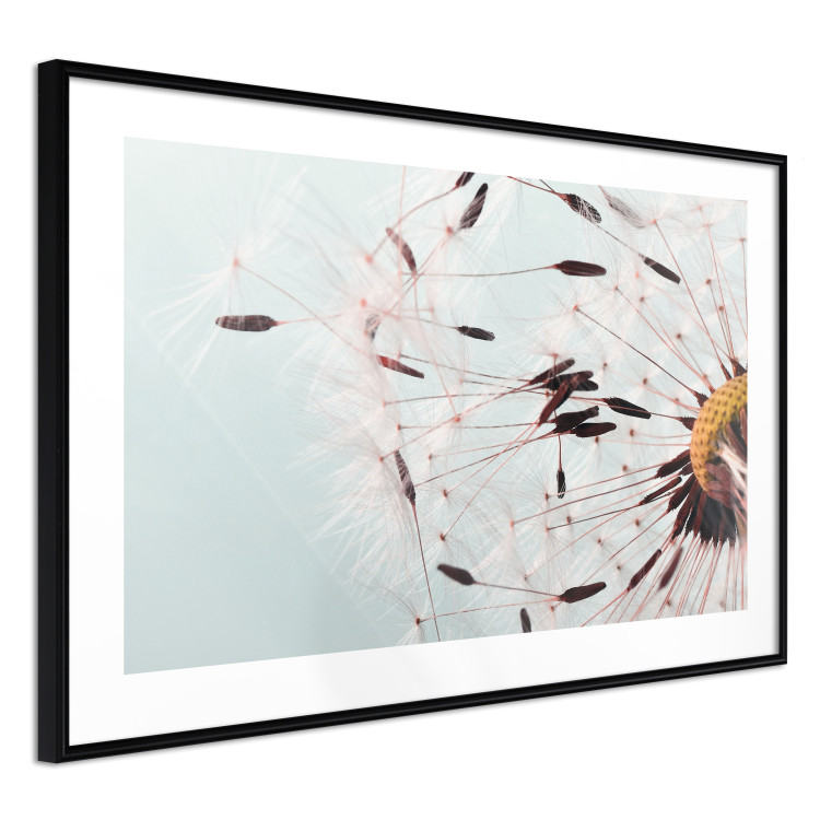 Poster Gust of Wind - dandelion flower against a contrasting clear sky 129846 additionalImage 6