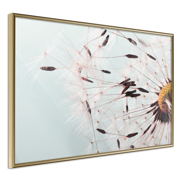 Poster Gust of Wind - dandelion flower against a contrasting clear sky 129846 additionalImage 12