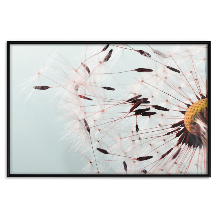 Poster Gust of Wind - dandelion flower against a contrasting clear sky 129846 additionalImage 20