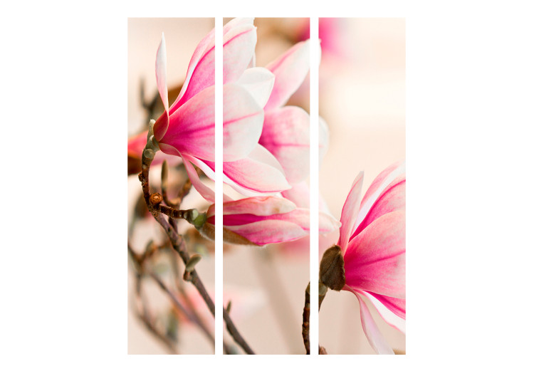 Room Divider Branch of Magnolia Tree (3-piece) - picturesque flowers and light background 132746 additionalImage 3