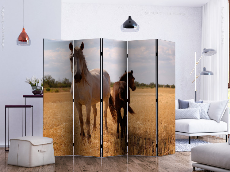 Room Divider Mare and Foal II (5-piece) - wild animals in a landscape 133346 additionalImage 2