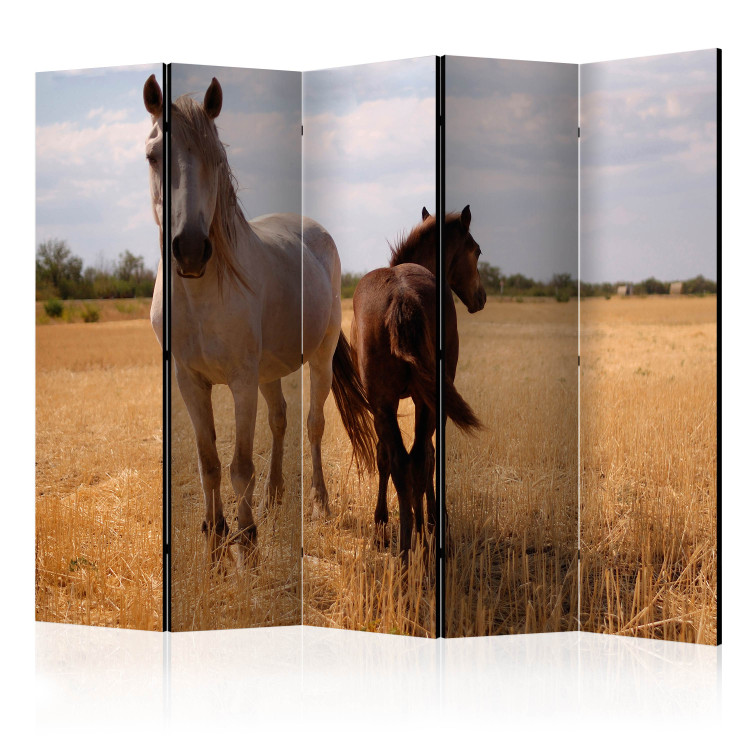Room Divider Mare and Foal II (5-piece) - wild animals in a landscape 133346