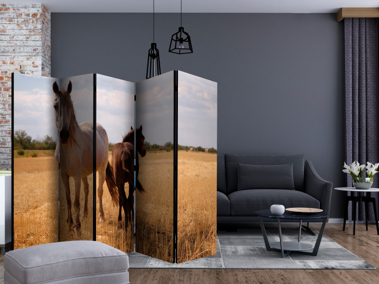 Room Divider Mare and Foal II (5-piece) - wild animals in a landscape 133346 additionalImage 4