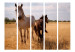 Room Divider Mare and Foal II (5-piece) - wild animals in a landscape 133346 additionalThumb 3