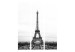 Room Divider Screen Paris: Black and White Photography II - black and white landscape of the Eiffel Tower 133846 additionalThumb 3