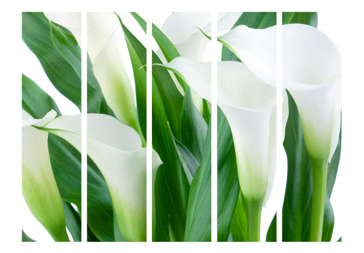Folding Screen Bouquet - Callas II - landscape of white flowers amidst green leaves 133946 additionalImage 3