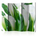 Folding Screen Bouquet - Callas II - landscape of white flowers amidst green leaves 133946