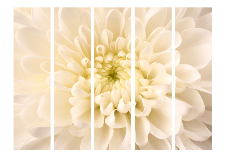 Room Divider Screen White Dahlia II - floral composition of a flower with light yellow petals 134046 additionalImage 3