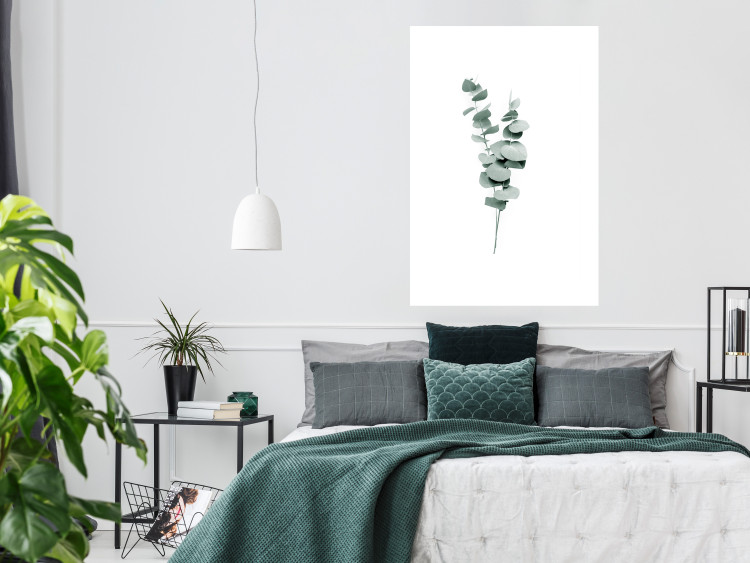 Poster Eucalyptus Twigs - Minimalist Green Plant Leaves Isolated on White 146146 additionalImage 12