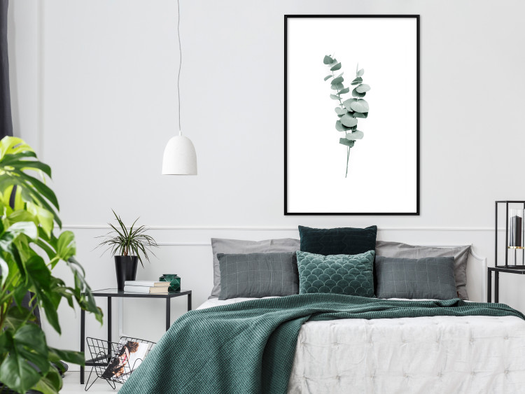 Poster Eucalyptus Twigs - Minimalist Green Plant Leaves Isolated on White 146146 additionalImage 13