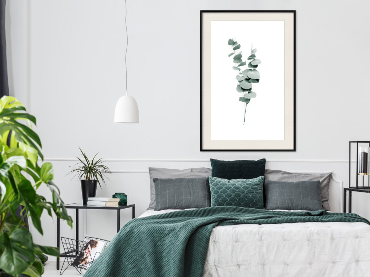 Poster Eucalyptus Twigs - Minimalist Green Plant Leaves Isolated on White 146146 additionalImage 14