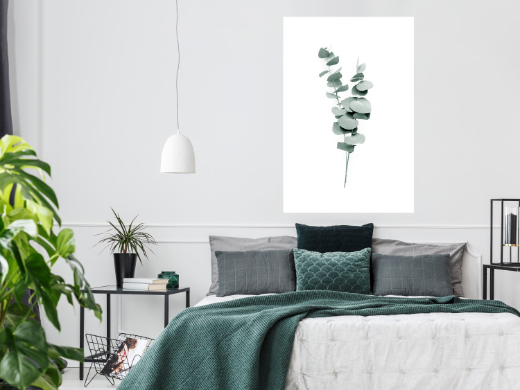 Poster Eucalyptus Twigs - Minimalist Green Plant Leaves Isolated on White 146146 additionalImage 18