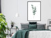 Poster Eucalyptus Twigs - Minimalist Green Plant Leaves Isolated on White 146146 additionalThumb 15