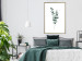 Poster Eucalyptus Twigs - Minimalist Green Plant Leaves Isolated on White 146146 additionalThumb 16