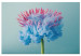 Canvas Abstract Flower - Pink and Blue Floristic Motif 149846