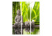 Room Separator Meditation - oriental Buddha in front of water against green bamboo background 97346 additionalThumb 3