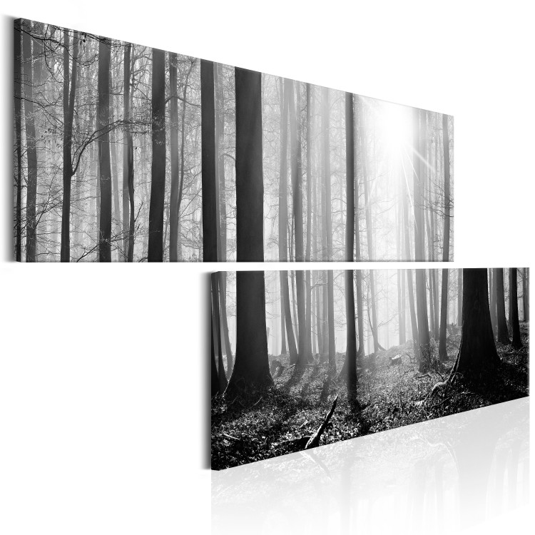 Canvas Nature: Black and White Forest - Sunlit Landscape from Forest 97546 additionalImage 2