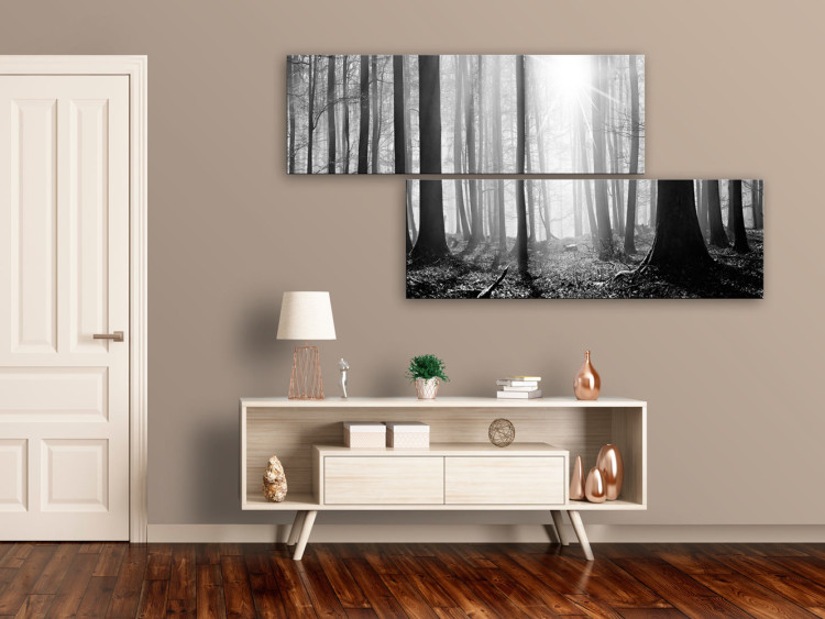 Canvas Nature: Black and White Forest - Sunlit Landscape from Forest 97546 additionalImage 3