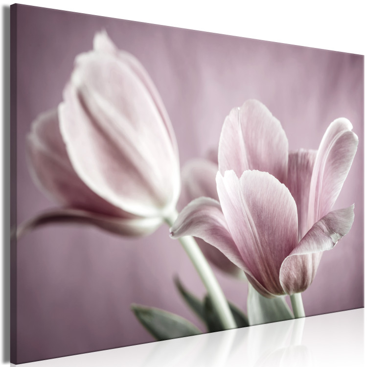 Canvas Tulip Nature (1-part) - Pink Flower in Springtime 117156 additionalImage 2