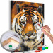 Paint by Number Kit Asian Tiger 127156