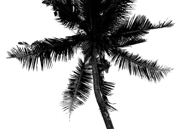 Canvas Print Lonely Palms (1-piece) Vertical - black trees on white background 129756 additionalImage 5