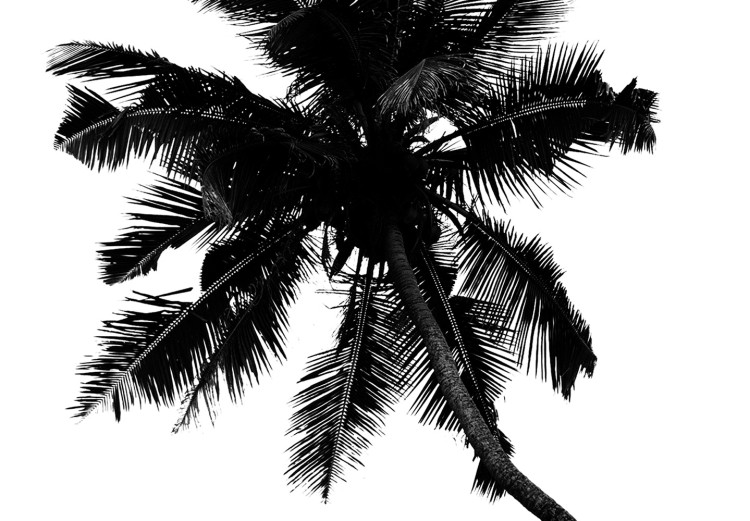 Canvas Print Lonely Palms (1-piece) Vertical - black trees on white background 129756 additionalImage 4