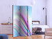 Folding Screen Rainbow Abstract Background - colorful abstraction on a blue background 133756 additionalThumb 2
