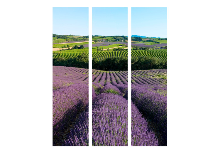 Room Divider Lavender Fields (3-piece) - Provencal landscape with purple flowers 134156 additionalImage 3