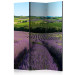 Room Divider Lavender Fields (3-piece) - Provencal landscape with purple flowers 134156