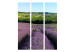Room Divider Lavender Fields (3-piece) - Provencal landscape with purple flowers 134156 additionalThumb 3