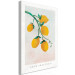 Canvas Citrus - drawing image of a branch of a lemon tree 135156 additionalThumb 2