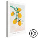 Canvas Citrus - drawing image of a branch of a lemon tree 135156 additionalThumb 6