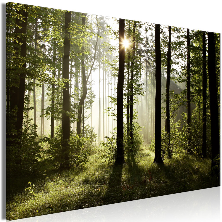 Large canvas print Summer Fog [Large Format] 137556 additionalImage 2